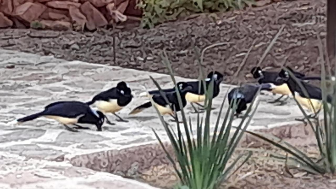 Departamento En La Naturaleza Daire Salta Dış mekan fotoğraf